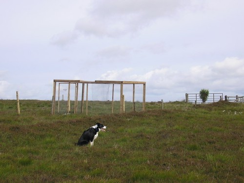 Photo 6x4 larsen trap - a, and
