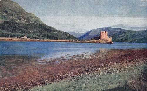 Wester ross highland - wester,