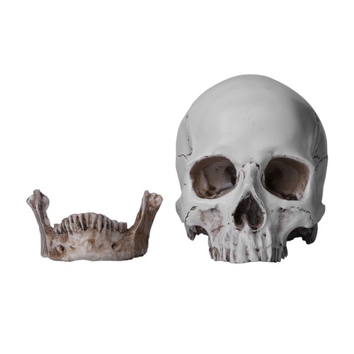 720g resin replica life - resin,