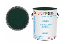 Classic Paint For Wolseley