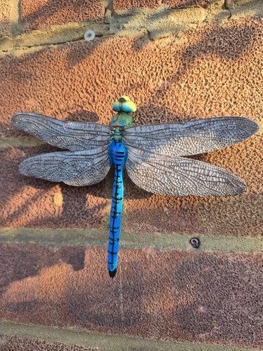 Realistic blue dragonfly - realistic,