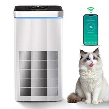Air Purifiers For Large Room