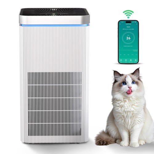 Air purifiers for large - air,