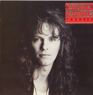 Andy taylor thunder lp - taylor,