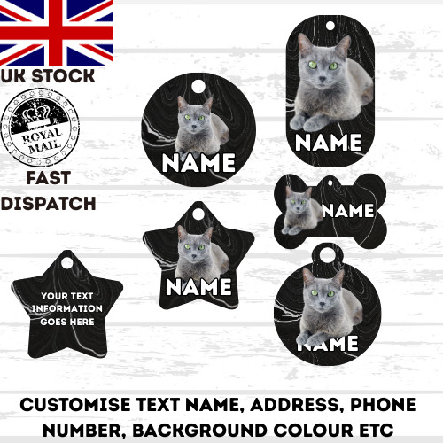 Russian blue cat - cat, pet