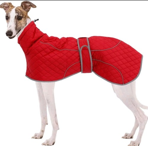 Water resistant greyhound - water-resistant,