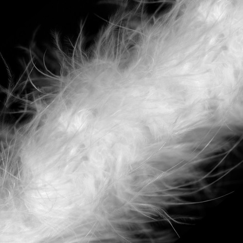 Marabou swansdown feather trim - swansdown,