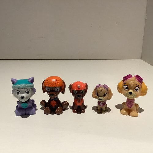 Paw patrol skye - patrol, &