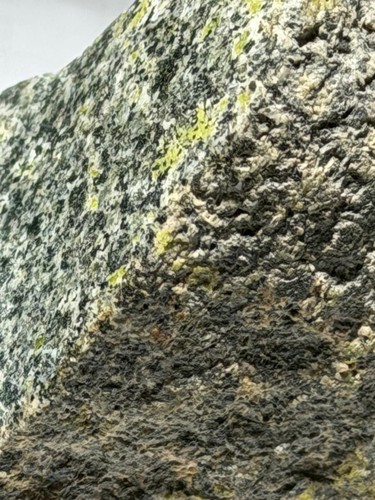Rock possibly martian - possibly,