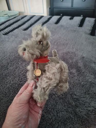 Vintage steiff dog - steiff,