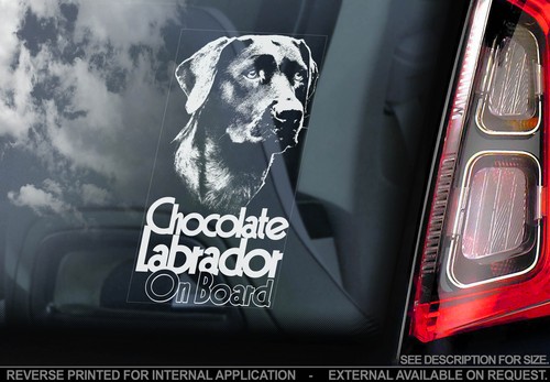 Chocolate labrador car - chocolate,