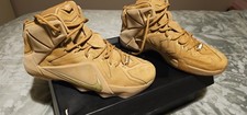 Nike LeBron XII Ext QS Men's Basketball Shoes Trainers Size 10 Uk