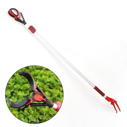 Telescopic fruit picker - fruit,