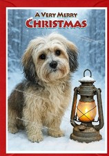 Havanese Dog Christmas Card