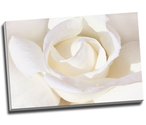 White rose floral canvas - rose, print
