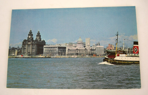 Vintage rppc postcard the - postcard,