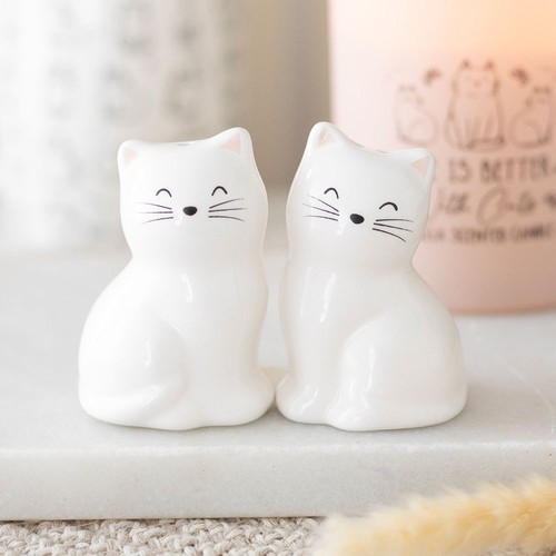 Ceramic salt pepper - ceramic,