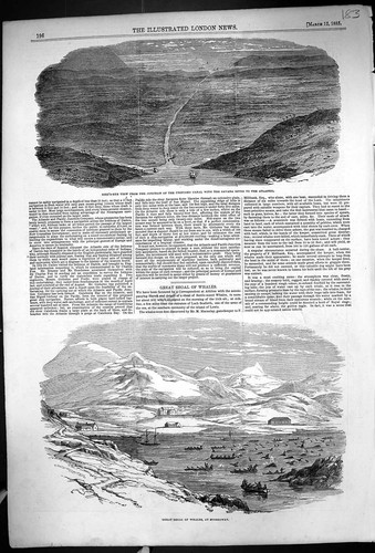Old 1853 bird eye - old, view