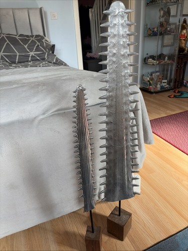 Sawfish snoot sculptures - snoot,