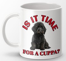 Cute Black Labradoodle Is It