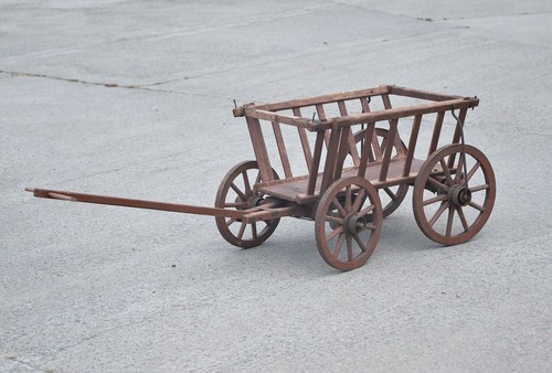 Old vintage dog - vintage, pony