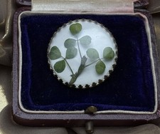 Vintage Real Shamrock Domed Early Plastic Brooch Lucky Irish ☘️Costume Jewellery