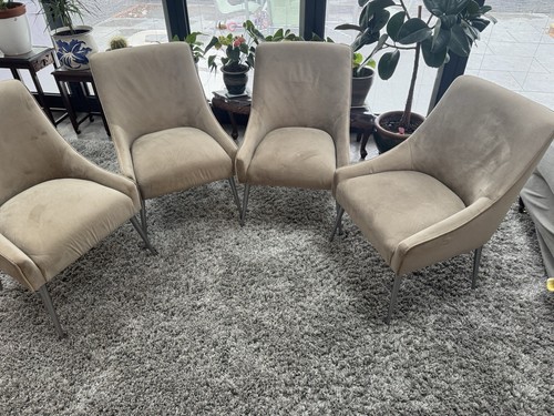 Set dining chairs - of,