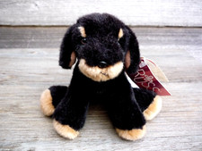 Russ Pedigree Pups ROXY Dark