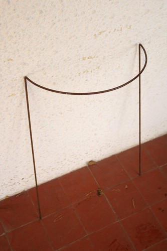 Set three medium hoop - hoop, plant
