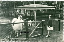 Zoo, Drayton Manor Park, Tamworth RP