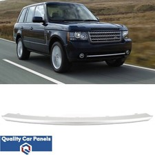 Front Bumper Moulding Silver