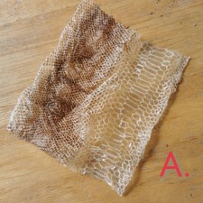 Snake Shed, Royal Ball Python