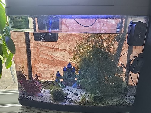 Tropical fish aquarium tank - fish, &
