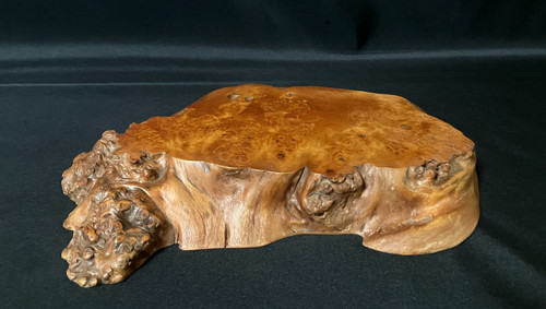 Japanese burl wood display - japanese,