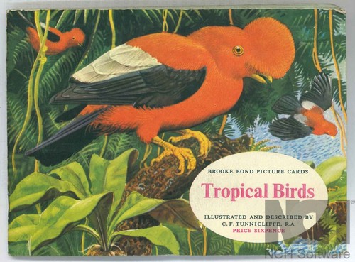 Tropical birds brooke bond - brooke,