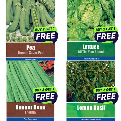 Vegetable seeds herb - herb,