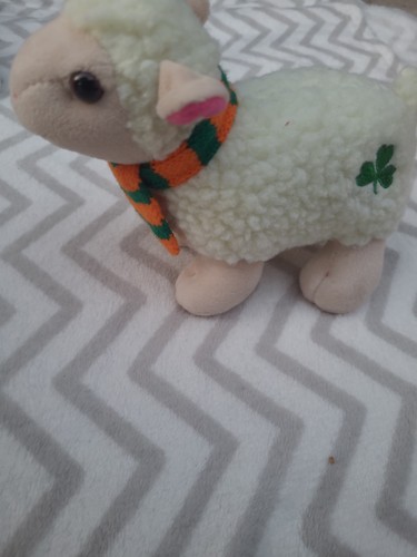 Irish softies from shamrock - irish,