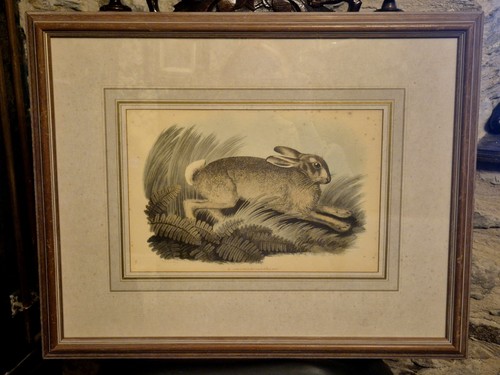 Rare large samuel howitt - large,