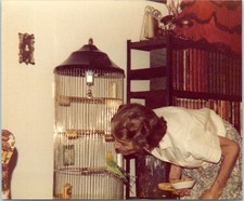 1980 Woman Feeding Green