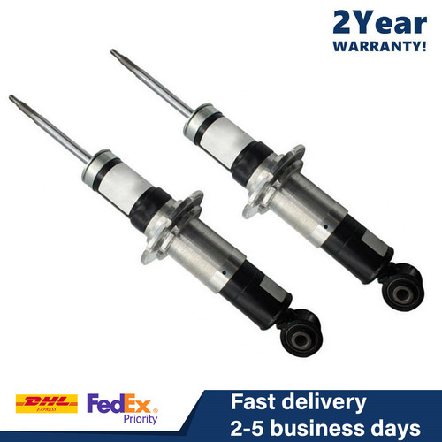 Rear shock absorbers - rear, magnetic