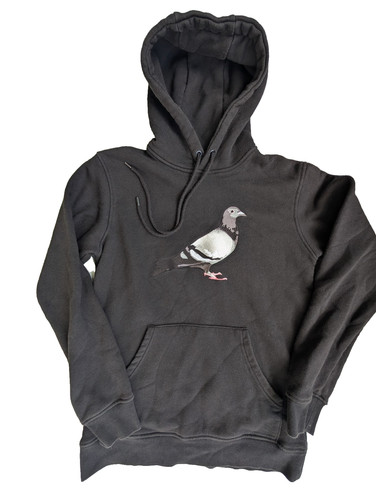Staple pigeon black - pigeon,