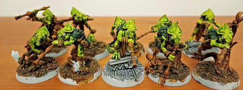 10x chameleon skinks - 10x,