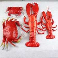 Simulation Lobster Model
