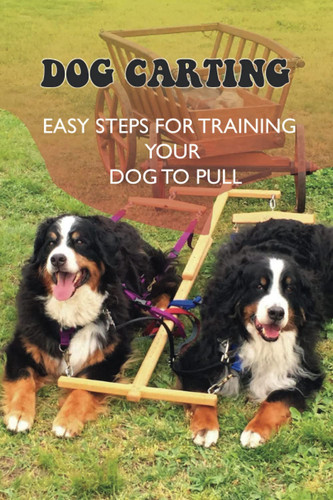 Dog carting easy steps for - dog, carting: