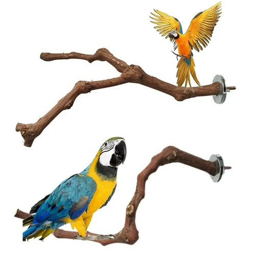 Wooden parrot bird - wooden,
