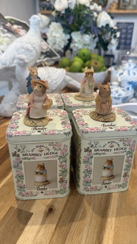 Border fine arts brambly hedge - fine,