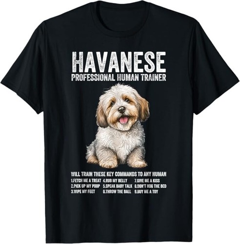 Havanese professional human - professional,