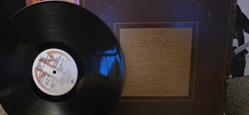 Carpenters the singles - carpenters,