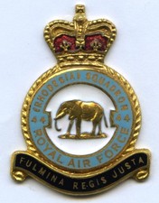 RAF 44 SQN LAPEL BADGE - H W MILLER LTD