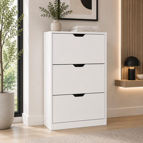 Drawer shoe cabinet - shoe, storage